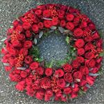 Profile Picture of Kolnes Zwerg Blomster Stvg (@kolneszwergblomster_stvg) on Instagram
