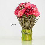 Profile Picture of إيمان الدغيفق (@eman aldughaifiq) on Flickr