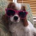 Profile Picture of Jodi Sinclair Gardner (@jodi.gardner.501) on Facebook