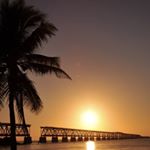 Profile Picture of Vivian Knox (@vivianknox3) on Instagram