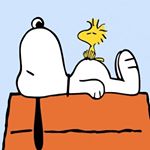 Profile Picture of Victor (@victor_concordia.crescit) on Instagram