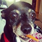 Profile Picture of Lawrence Maynard (@whohasnine) on Instagram