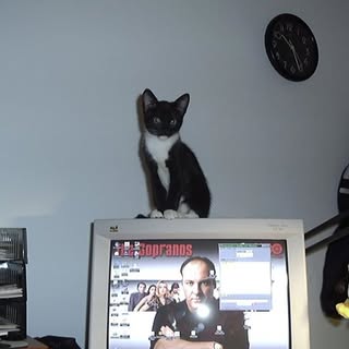 Profile Picture of Mark Ozburn (@ozburnmark) on Instagram