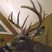 Profile Picture of Joel Dennis (@jdennis2436) on Pinterest