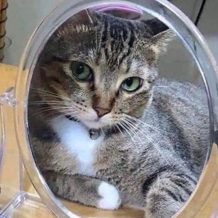 Profile Picture of John witt (@john_witt_) on Tiktok