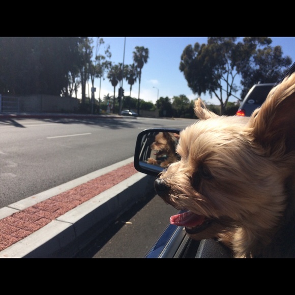 Profile Picture of Rachel Reagh (@rachelreagh) on Poshmark