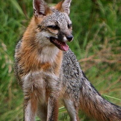 Profile Picture of Stanley Carroll (@caphotostan) on Twitter