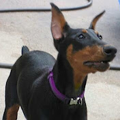 Mark Stefan - Youtube Profile Picture of Mark Stefan (@markstefan1) on Youtube