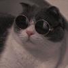 Profile Picture of Samuel Postiglione (@@iitsamuuu) on Tiktok