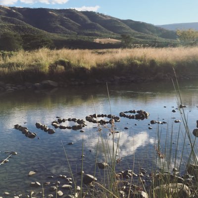 Profile Picture of Geoff Paton (@@Geoff_Paton) on Twitter