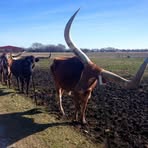 Chris Nelon - Facebook Profile Picture of Chris Nelon (@chris.nelon.77) on Facebook