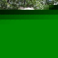 Profile Picture of Roger Albert (@311444707) on Myspace