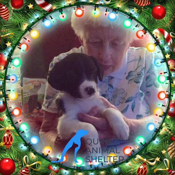 Profile Picture of Janet Thomas (@jathomas0417) on Poshmark