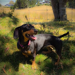 Profile Picture of Jonathan Valdivia Faulbaum (@Jonathan Valdivia) on Flickr