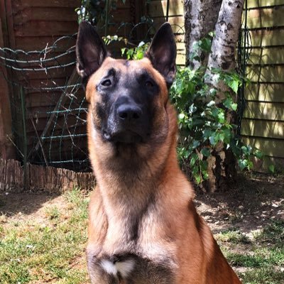 Profile Picture of Jon Hinds (@JonHinds68) on Twitter