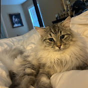 Profile Picture of Scott Frank (@scottfrank1771) on Youtube