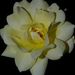 Profile Picture of Nancee Tomlinson (@nanceet) on Pinterest