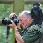 Profile Picture of Dave Rolfe (@wildlife_shots) on Instagram