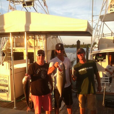 Profile Picture of Tom DeJonge (@Jonge_Tom) on Twitter