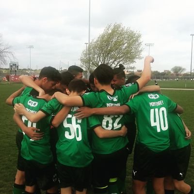 Profile Picture of Daniel Alviso (@danielalv150) on Twitter