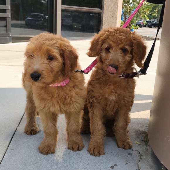 Profile Picture of Sally Marselle (@sally2468) on Poshmark