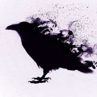 Swain's Raven - Quora Profile Picture of Swain's Raven (@swains-raven) on Quora