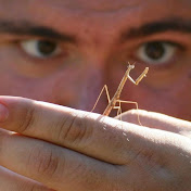 Profile Picture of Matthew Soares (@mattdsoares) on Youtube