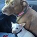 Profile Picture of Janet Treadwell (@janet.treadwell.376043) on Facebook
