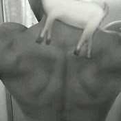 Edwin Polanco - Youtube Profile Picture of Edwin Polanco (@edwinpolanco9696) on Youtube