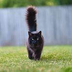 Profile Picture of Notar Jerard (@Notar-Jerard) on Facebook