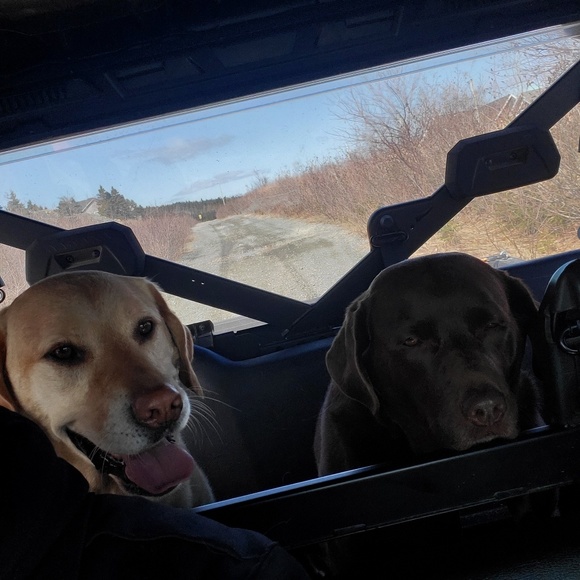 Profile Picture of Derek Barrett (@derek875) on Poshmark