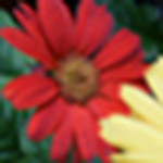 Profile Picture of Beth And Jamie Hyland (@the hylands of north carolina) on Flickr