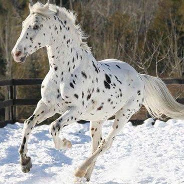 Profile Picture of Laurie Lukas (@laurielukas1) on Twitter