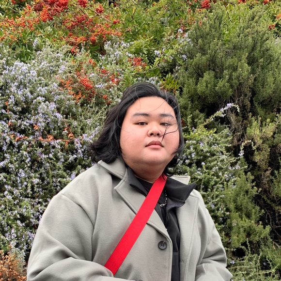 Profile Picture of Alcee Penalba (@xlcxx) on Poshmark