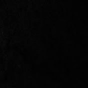 Profile Picture of Whitney Bailey (@whitneybailey7153) on Youtube