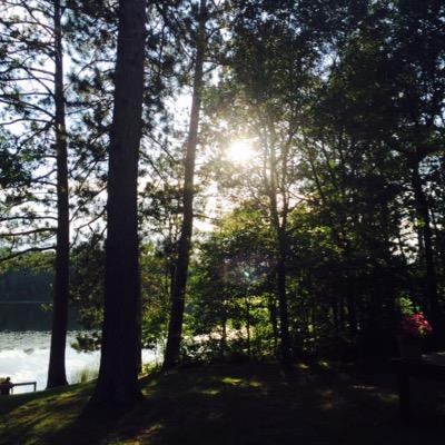 Profile Picture of Paula Blaylock (@Blaylock67) on Twitter