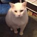 Profile Picture of Marilyn Quast (@marilyn.quast.1) on Facebook