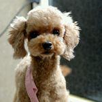 Profile Picture of Leo (@leo_byrd) on Instagram