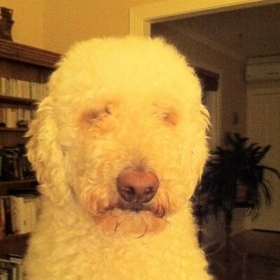 Profile Picture of Marcel Plourde (@maplo56) on Twitter