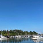 Profile Picture of Janik de Klerk (@rozhhalatkurdestan) on Instagram