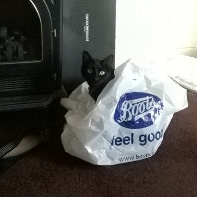 Profile Picture of Claire Stead (@Clairestead7) on Twitter