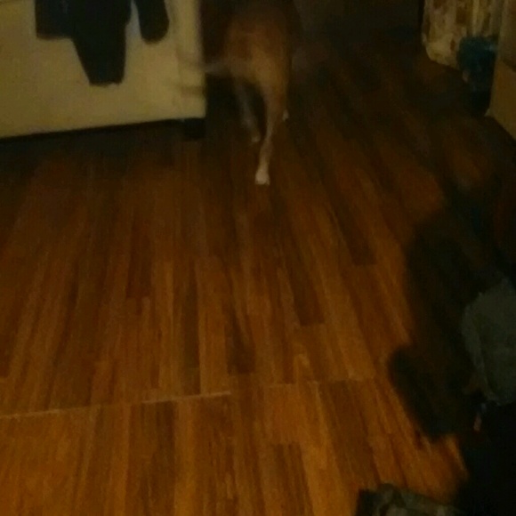 Profile Picture of Montressa Foxworth (@mdeaklefoxworth) on Poshmark