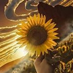 Profile Picture of Cassandraprado (@cassandracaetano12345) on Instagram