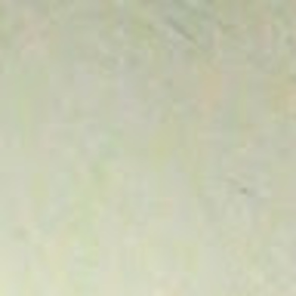 Profile Picture of Steven Shattuck (@stevenshattu543) on Poshmark