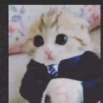 Profile Picture of Brandon Stankiewicz (@stankiewiczbrandon) on Instagram