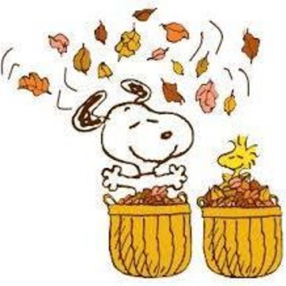 Profile Picture of Patty Jackels (@pmjackels) on Poshmark