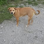 Profile Picture of Bobby Mathes (@bobby.mathes.2025) on Facebook