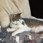 Profile Picture of Lori Epstein (@allaboutpink0924) on Instagram