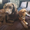 Profile Picture of Duncan Hamilton (@@duncanhamiltonuk) on Tiktok