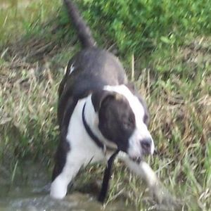 Mary Lebouef - Myspace Profile Picture of Mary Lebouef (@345256709) on Myspace